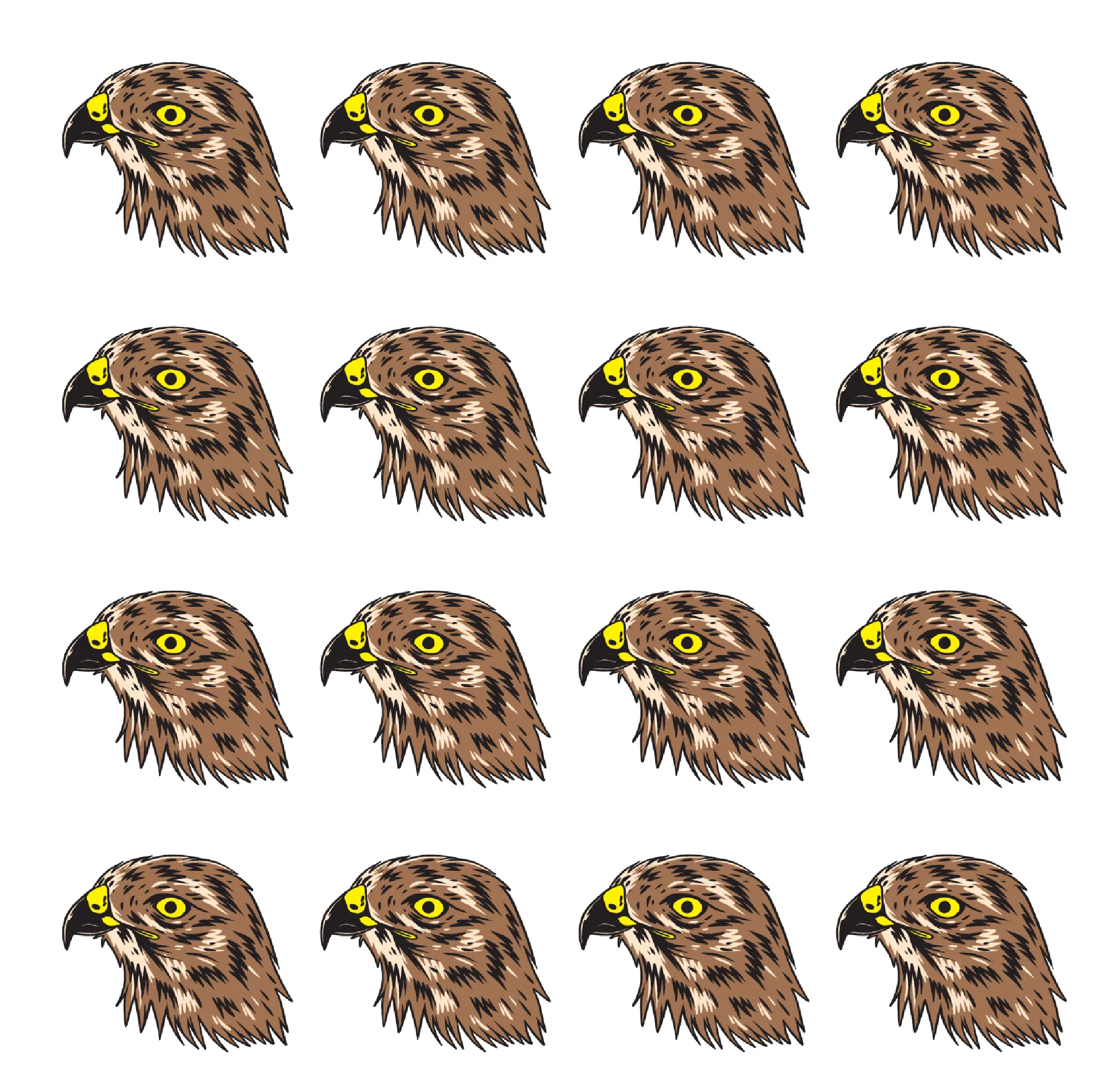 Hawk
